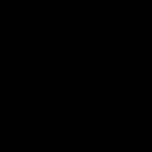 Meet your Posher, Kelli